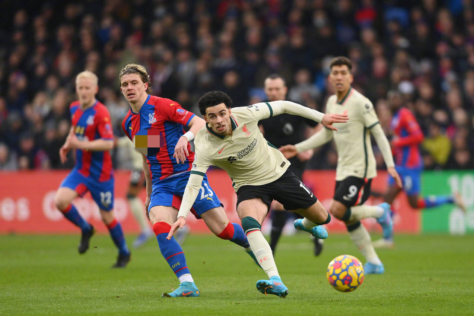 生涯都有显 生涯都有显