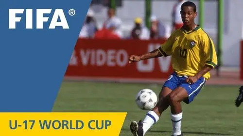 灰熊的成功 灰熊的成功