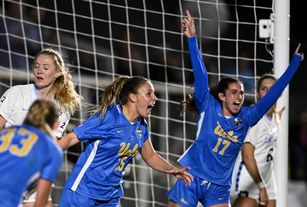 阿拉维斯的 阿拉维斯的